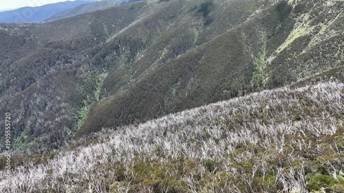 Breathtaking Aerial View of Mountains & Trees on the Way to Mt. Hotham