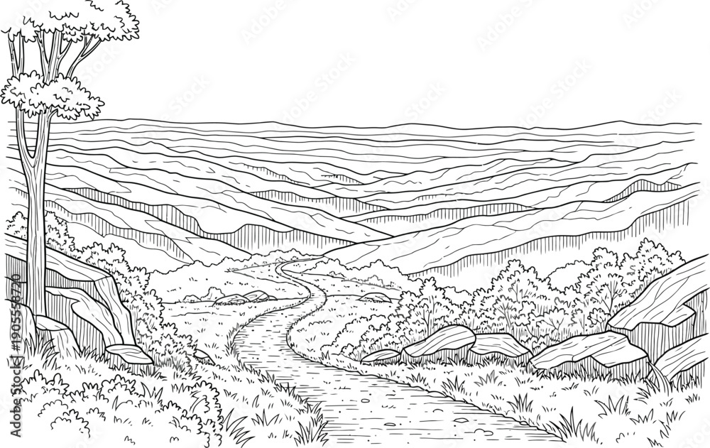 Fototapeta premium Scenic landscape illustration with winding path and rolling hills in black and white