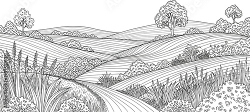 Serene black and white landscape illustration of rolling hills and lush vegetation