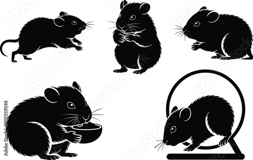 Black silhouette set of cute pet hamster in different poses, eating, running wheel, standing, small animal illustration isolated on white background