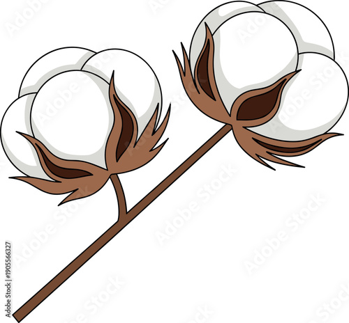 Natural white cotton bolls on a brown branch illustration for organic textile industry sustainable fashion and botanical agricultural designs.