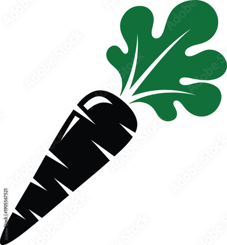 A black carrot with green leafy top on white background
