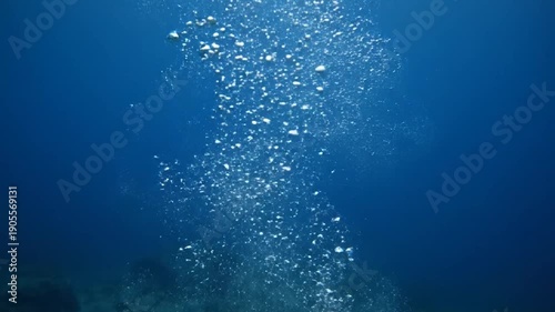 Underwater shot of rising bubbles in deep blue water, ocean floor visible below