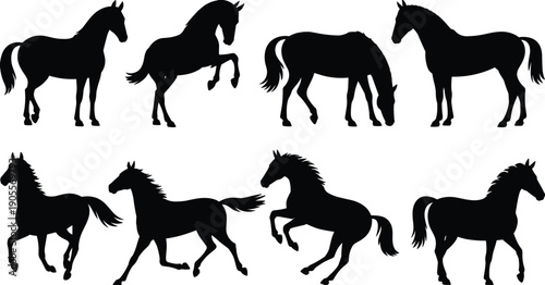 Collection of horse silhouettes in dynamic poses including standing, rearing, grazing, trotting, and galloping, equine animal illustration set for education, design, and creative projects