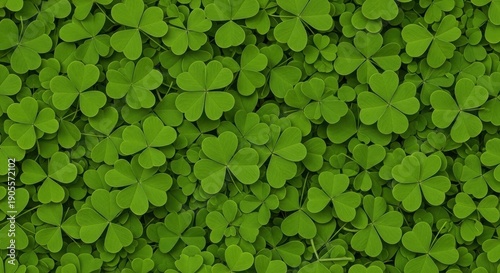 A lush carpet of vibrant green clover leaves fills the frame with natural beauty and serenity.