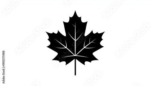Stylized black maple leaf silhouette with crisp white veins, centered on a white backdrop