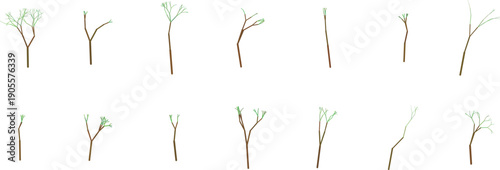 Variations of bare tree branches in different angles and positions