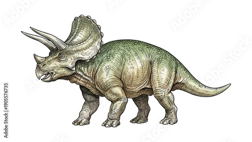 Powerful Triceratops dinosaur standing with detailed skin texture horns and frill viewed from the side in a realistic illustration style