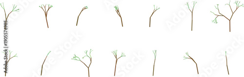 Collection of bare tree silhouettes in various stages of growth
