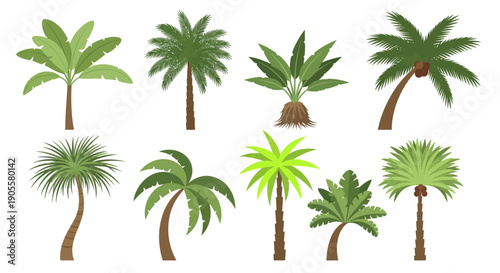 Vector Illustration Set of Diverse Palm Trees, Exotic Plants, and Tropical Foliage for Summer Vacation Designs and Island-Themed Graphics