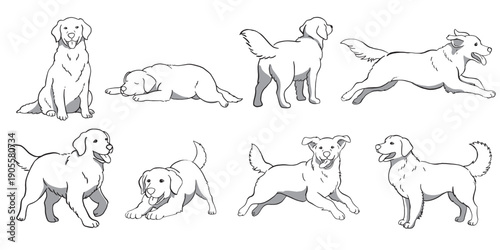 Hand-drawn minimalist line art collection of Golden Retriever dogs in multiple positions like jumping, lying down, and standing