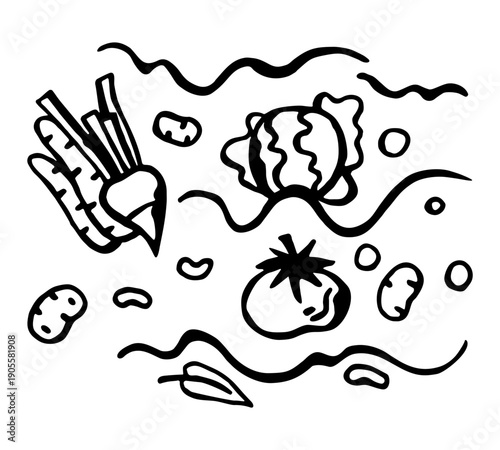 Vegetable set for borscht, drawn by pen. Vector illustration on a white isolated background
