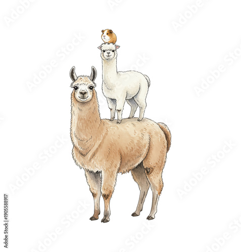 Happy llamas and a guinea pig stacked on top of each other a cheerful animal tower illustration