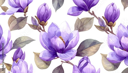 Watercolor style, large purple magnolias in bloom, along with buds and leaves, on a white background