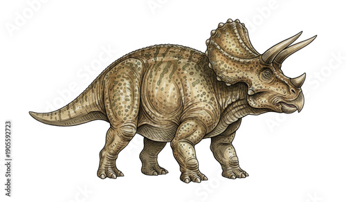 Detailed illustration of a brown and green speckled Triceratops dinosaur standing with its iconic frill and three horns