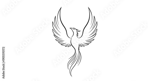 Phoenix Bird Illustration Drawing