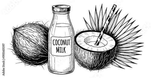 Hand drawn line art coconut set featuring whole and half coconuts, a bottle of coconut milk, and a palm leaf for healthy eating and tropical design