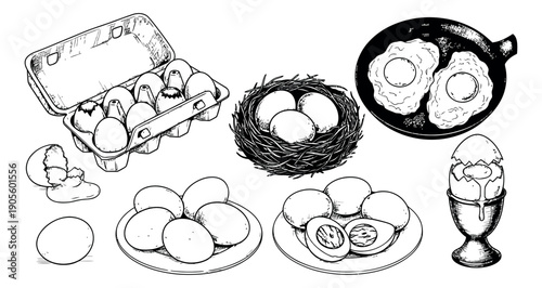 Hand drawn line art egg set featuring a carton, nest, whole, cracked, fried, and boiled preparations for breakfast and cooking concepts