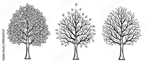 Hand drawn line art tree set featuring full foliage, falling leaves, and bare branches for seasonal designs