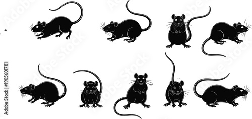 Black and white vector silhouettes of mice and rats in various poses, set of nine rodent icons for pests, wildlife,