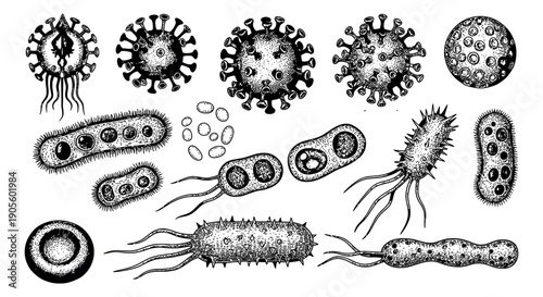 Vintage hand drawn line art microorganism set featuring bacteria and viruses for medical and scientific design