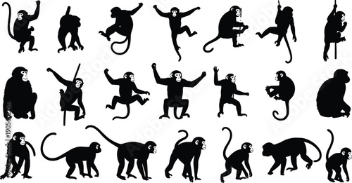Black silhouette vector illustration of monkeys in diverse poses including climbing, sitting, jumping, hanging, and walking for wildlife, behavior, and design themes