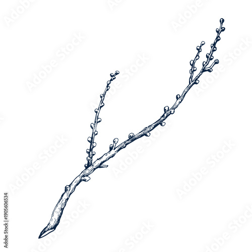 Twig wreath leafless. Botanical hand drawn Isolated vector illustration. Tree dry branch sketch template for card design Christmas invitation, poster, holiday decor. Engraving style