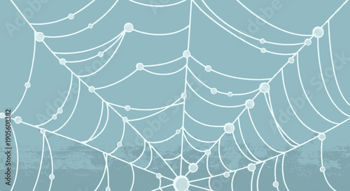 White Spider Web Closeup on Blue Background.