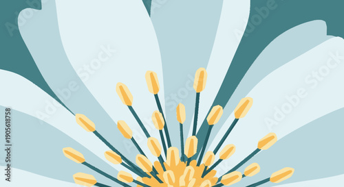 White Flower with Yellow Stamens and Pistils.