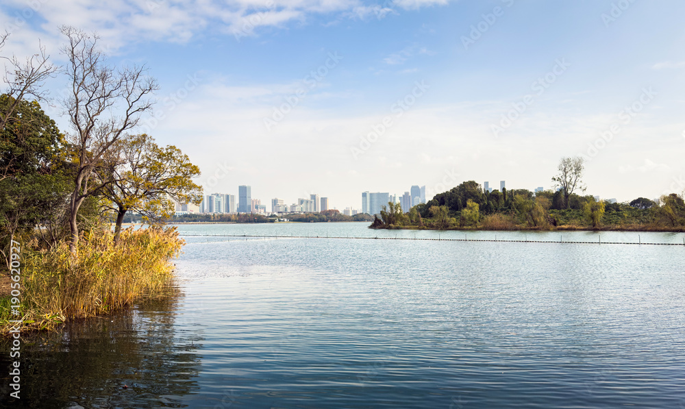 Obraz premium Tranquil Lakeside View with Modern City Skyline in the Background