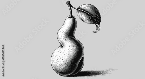 Unusual Pear with Leaf and Shadow in Vintage Engraving Style