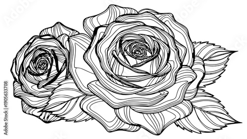 Detailed black and white line art illustration featuring two beautiful blooming roses with intricately layered petals and surrounding foliage perfect for coloring pages or graphic design projects