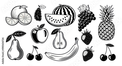 Assorted Fresh Fruits Collection - Hand Drawn Sketch Style