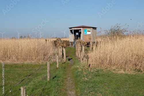 Bird observation hut Rietland in Elburg near Drontermeer Lake on a sunny day