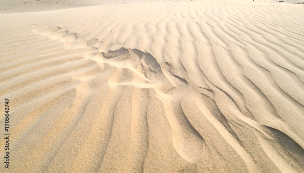 Fototapeta premium Wavy sand dunes in a desert, golden hour. Ripples form patterns. Some windblown sand