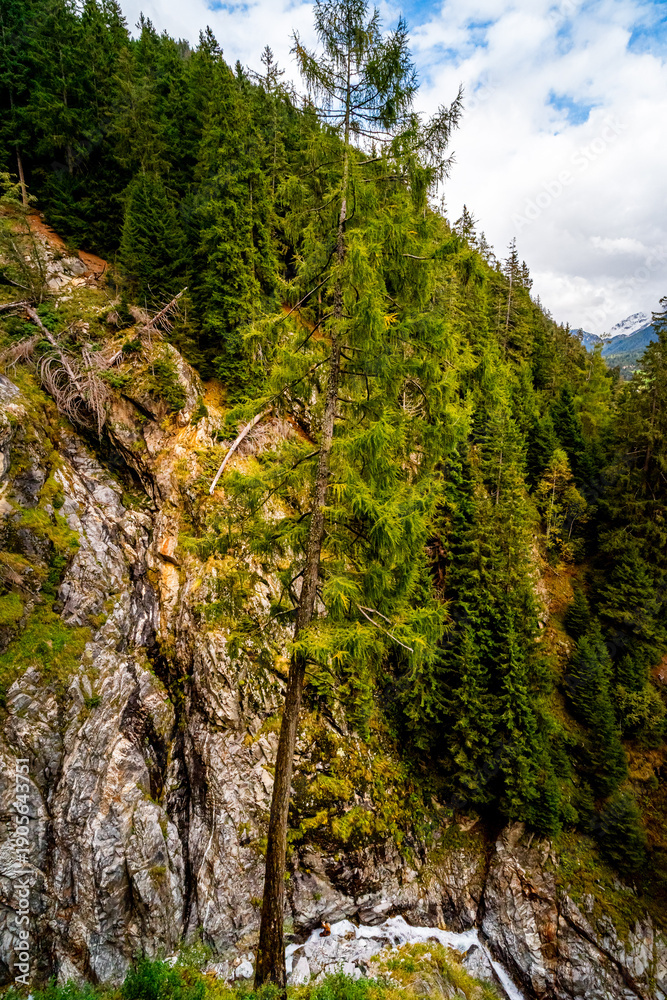 Fototapeta premium Hiking Trail to the Klammbach Waterfalls in the Antholz Valley South Tyrol in autumn 2025