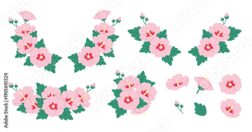 Vector illustration of Mugunghwa or Rose of Sharon flowers collection