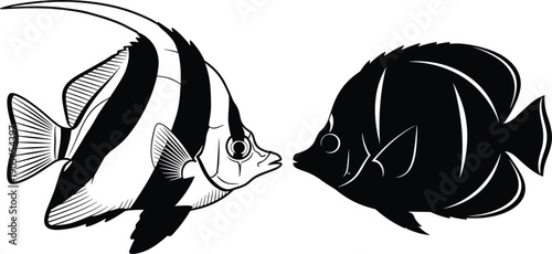 Fish line art and silhouette illustration set tropical aquarium sea animal black and white isolated background
