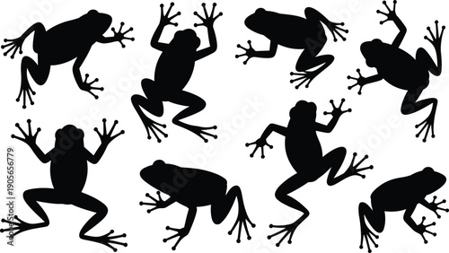 Collection of tree frog silhouettes in climbing and jumping poses isolated on white background for wildlife and nature design