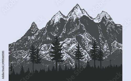Snowy mountain range with evergreen trees in foreground
