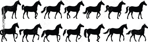 Running horse silhouettes vector set, isolated white background black equine animal icons collection dynamic motion flat design illustration