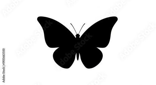 Black Butterfly Silhouette Isolated on White Background