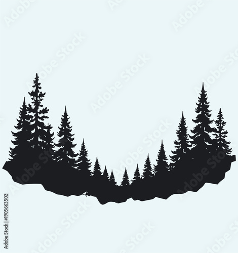 Silhouette of evergreen trees on white background