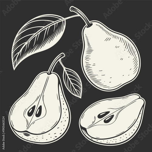 A collection of stylized pear illustrations is presented against a stark black background. The main subject is the pears, which are rendered in a grayscale, pen-and-ink style. The style has a vintage,