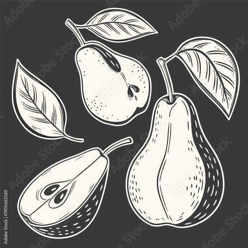 A collection of stylized pear illustrations is presented against a stark black background. The main subject is the pears, which are rendered in a grayscale, pen-and-ink style. The style has a vintage,