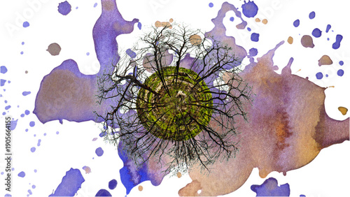 Top-Down View of Dead Tree Circle on Abstract Purple Watercolor Splash