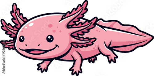 Vector illustration of a pink Axolotl, isolated on white background