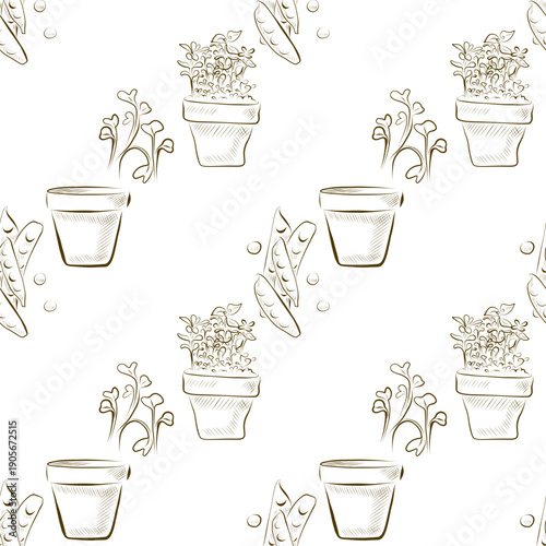 Seamless pattern of linear drawings of a pot with sprouts and peas. Minimalistic vector illustration.