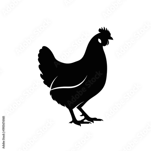 Silhouette of a Standing Hen Chicken Vector Illustration for Poultry Farms and Agriculture Design