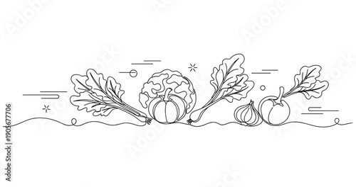 Line art of vegetables featuring cabbage and pumpkin in minimalist style. None editable stroke